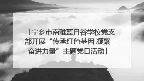 宁乡市南雅蓝月谷学校党支部开展“传承红色基因 凝聚奋进力量”主题党日活动