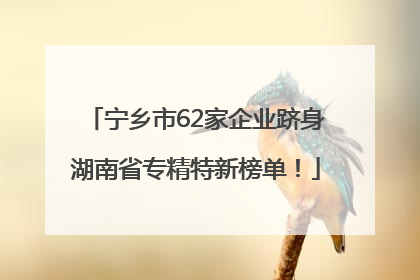 宁乡市62家企业跻身湖南省专精特新榜单！