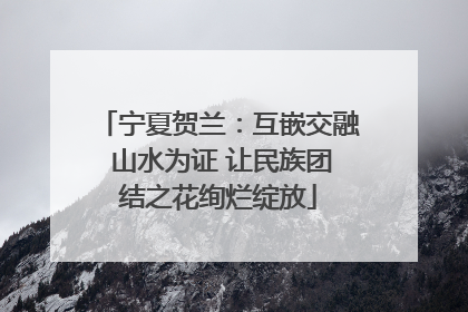 宁夏贺兰：互嵌交融 山水为证 让民族团结之花绚烂绽放