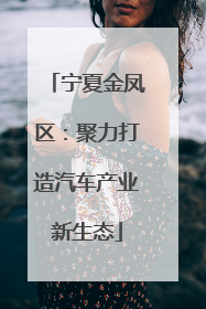 宁夏金凤区：聚力打造汽车产业新生态