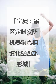 宁夏：景区定制安防机器狗亮相镇北堡西部影城