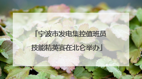 宁波市发电集控值班员技能精英赛在北仑举办