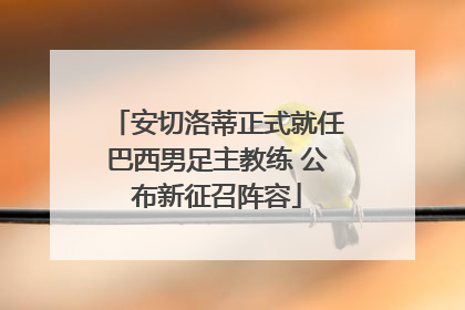 安切洛蒂正式就任巴西男足主教练 公布新征召阵容
