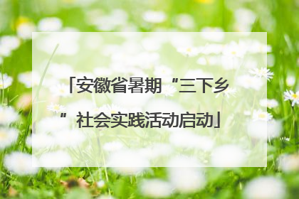 安徽省暑期“三下乡”社会实践活动启动