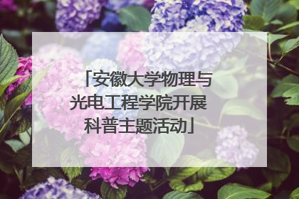 安徽大学物理与光电工程学院开展科普主题活动
