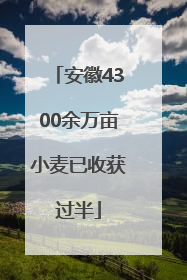 安徽4300余万亩小麦已收获过半