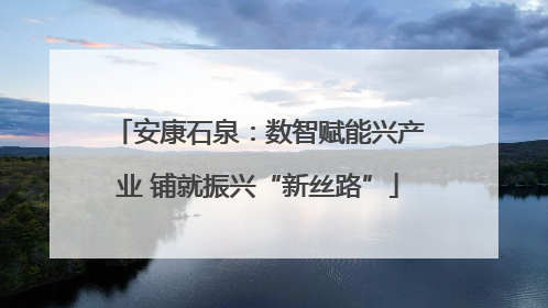 安康石泉：数智赋能兴产业 铺就振兴“新丝路”