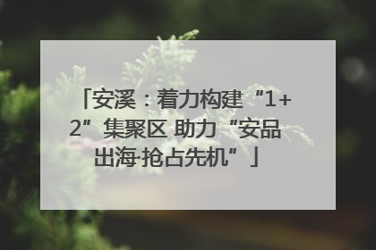 安溪：着力构建“1+2”集聚区 助力“安品出海·抢占先机”