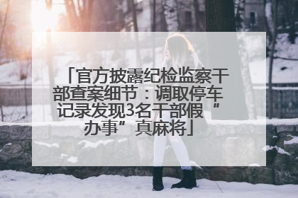 官方披露纪检监察干部查案细节：调取停车记录发现3名干部假“办事”真麻将