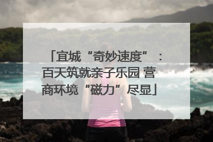 宜城“奇妙速度”：百天筑就亲子乐园 营商环境“磁力”尽显