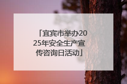 宜宾市举办2025年安全生产宣传咨询日活动