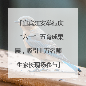 宜宾江安举行庆“六一”五育成果展，吸引上万名师生家长现场参与