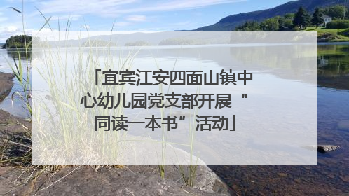 宜宾江安四面山镇中心幼儿园党支部开展“同读一本书”活动