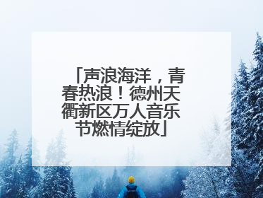 声浪海洋，青春热浪！德州天衢新区万人音乐节燃情绽放