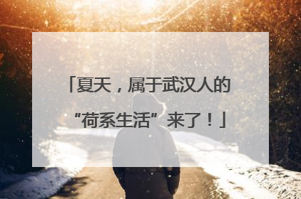 夏天，属于武汉人的“荷系生活”来了！