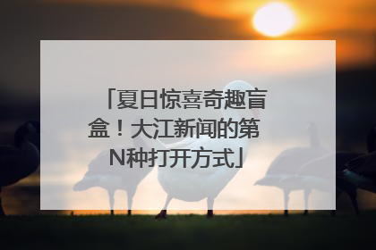 夏日惊喜奇趣盲盒！大江新闻的第N种打开方式