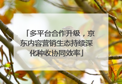 多平台合作升级，京东内容营销生态持续深化种收协同效率