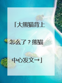 大熊猫背上怎么了？熊猫中心发文→