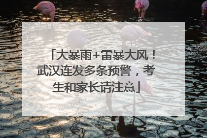 大暴雨+雷暴大风！武汉连发多条预警，考生和家长请注意