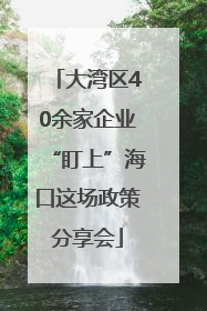大湾区40余家企业“盯上”海口这场政策分享会