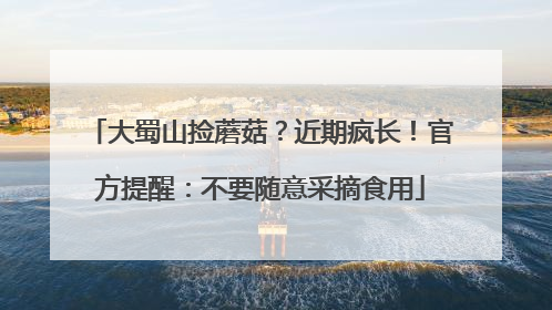 大蜀山捡蘑菇？近期疯长！官方提醒：不要随意采摘食用