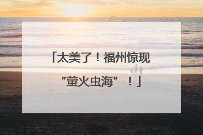 太美了！福州惊现“萤火虫海”！