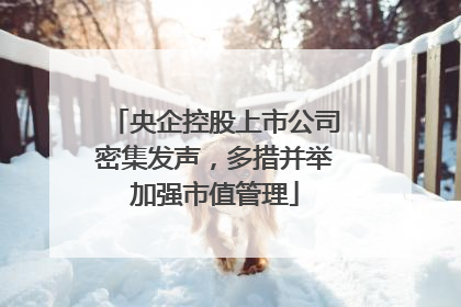 央企控股上市公司密集发声，多措并举加强市值管理