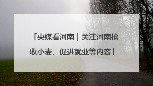 央媒看河南｜关注河南抢收小麦、促进就业等内容