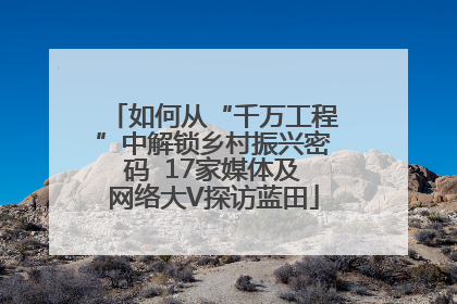 如何从“千万工程”中解锁乡村振兴密码  17家媒体及网络大V探访蓝田