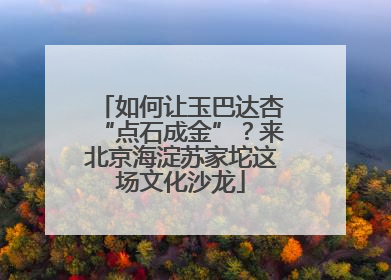 如何让玉巴达杏“点石成金”？来北京海淀苏家坨这场文化沙龙