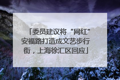 委员建议将“网红”安福路打造成文艺步行街，上海徐汇区回应