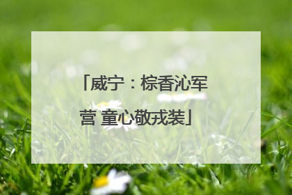 威宁：棕香沁军营 童心敬戎装