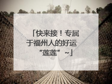 快来接！专属于福州人的好运“莲莲”~