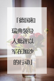 德国和瑞典领导人批评以军在加沙的行动