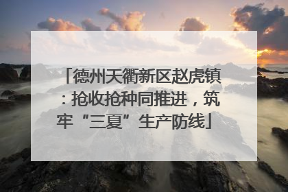 德州天衢新区赵虎镇：抢收抢种同推进，筑牢“三夏”生产防线