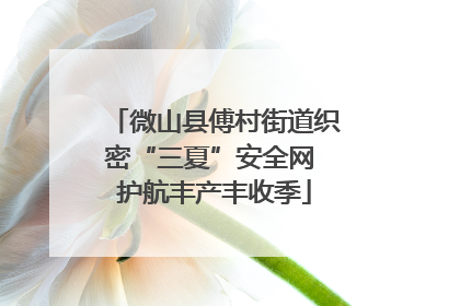 微山县傅村街道织密“三夏”安全网 护航丰产丰收季