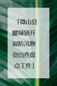 微山县驩城镇开展防汛物资自查盘点工作