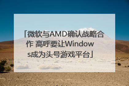 微软与AMD确认战略合作 高呼要让Windows成为头号游戏平台