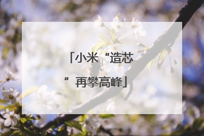 小米“造芯”再攀高峰