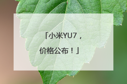 小米YU7，价格公布！