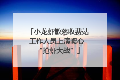 小龙虾散落收费站 工作人员上演暖心“抢虾大战”