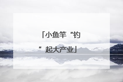 小鱼竿“钓”起大产业