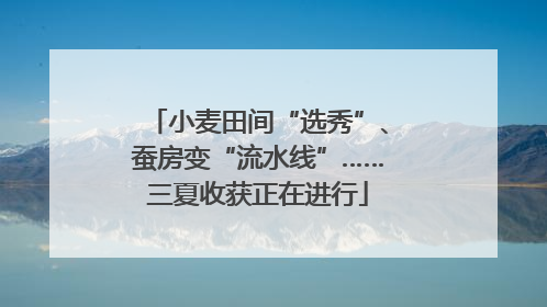 小麦田间“选秀”、蚕房变“流水线”……三夏收获正在进行