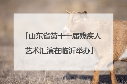 山东省第十一届残疾人艺术汇演在临沂举办