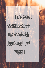 山东省纪委监委公开曝光5起违规吃喝典型问题