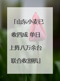 山东小麦已收四成 单日上阵八万余台联合收割机