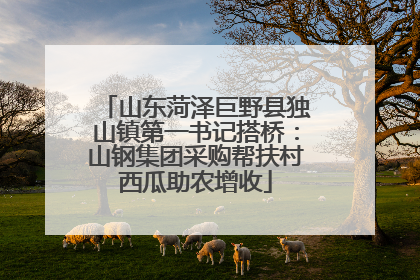 山东菏泽巨野县独山镇第一书记搭桥：山钢集团采购帮扶村西瓜助农增收
