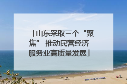 山东采取三个“聚焦” 推动民营经济服务业高质量发展