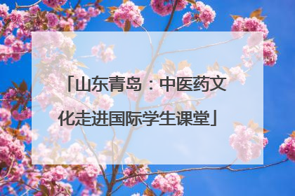 山东青岛：中医药文化走进国际学生课堂