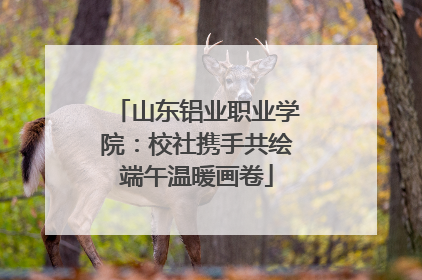 山东铝业职业学院：校社携手共绘端午温暖画卷